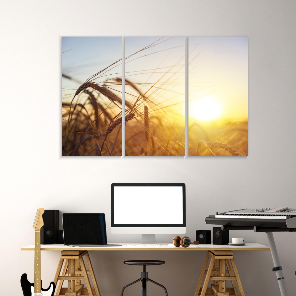 Картина на холсте Модульные Модульная картина Ear Of Golden Wheat 3 картины 60х120 см.
Картина на холсте Модульные Модульная картина Ear Of Golden Wheat 3 картины 60х120 см.