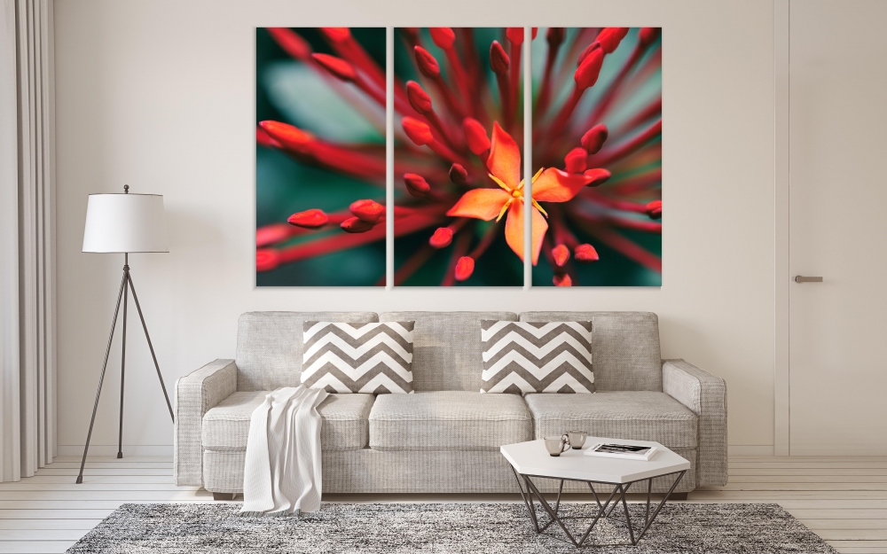 Картина на холсте Модульные Модульная картина Red Flowers On Nature Background 3 картины 30х60 см.
Картина на холсте Модульные Модульная картина Red Flowers On Nature Background 3 картины 30х60 см.