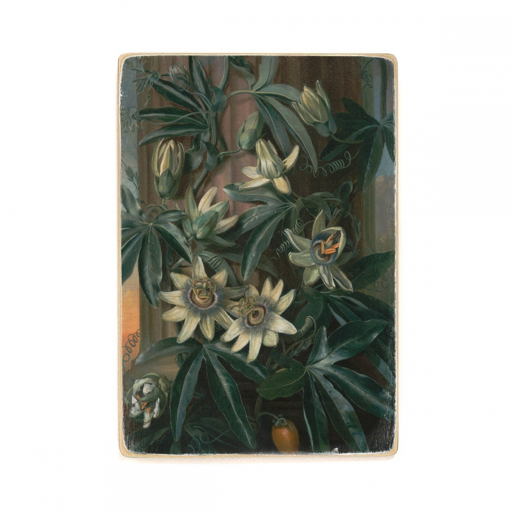 Деревянный постер Искусство Philip Reinagle - Blue Passion Flower, for the Temple of Flora by Robert Thornton А1
Деревянный постер Искусство Philip Reinagle - Blue Passion Flower, for the Temple of Flora by Robert Thornton А1