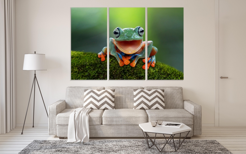 Картина на холсте Модульные Модульная картина Flying Frog 3 картины 40х80 см.
Картина на холсте Модульные Модульная картина Flying Frog 3 картины 40х80 см.