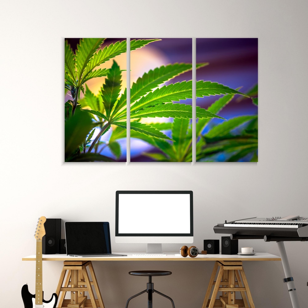 Картина на холсте Модульные Модульная картина Cannabis Leaf 3 картины 25х50 см.
Картина на холсте Модульные Модульная картина Cannabis Leaf 3 картины 25х50 см.