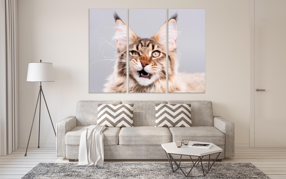 Картина на холсте Модульные Модульная картина Cute Maine Coon Kitten 3 картины 30х60 см.
Картина на холсте Модульные Модульная картина Cute Maine Coon Kitten 3 картины 30х60 см.