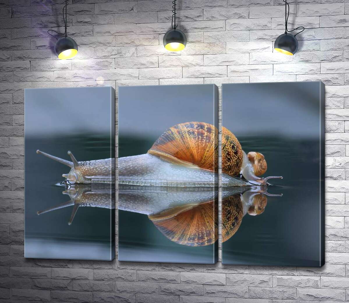 Модульная картина ArtPoster Водянисто-прозрачные улитки после дождя 132x87 см Модуль №11
Модульная картина ArtPoster Водянисто-прозрачные улитки после дождя 132x87 см Модуль №11