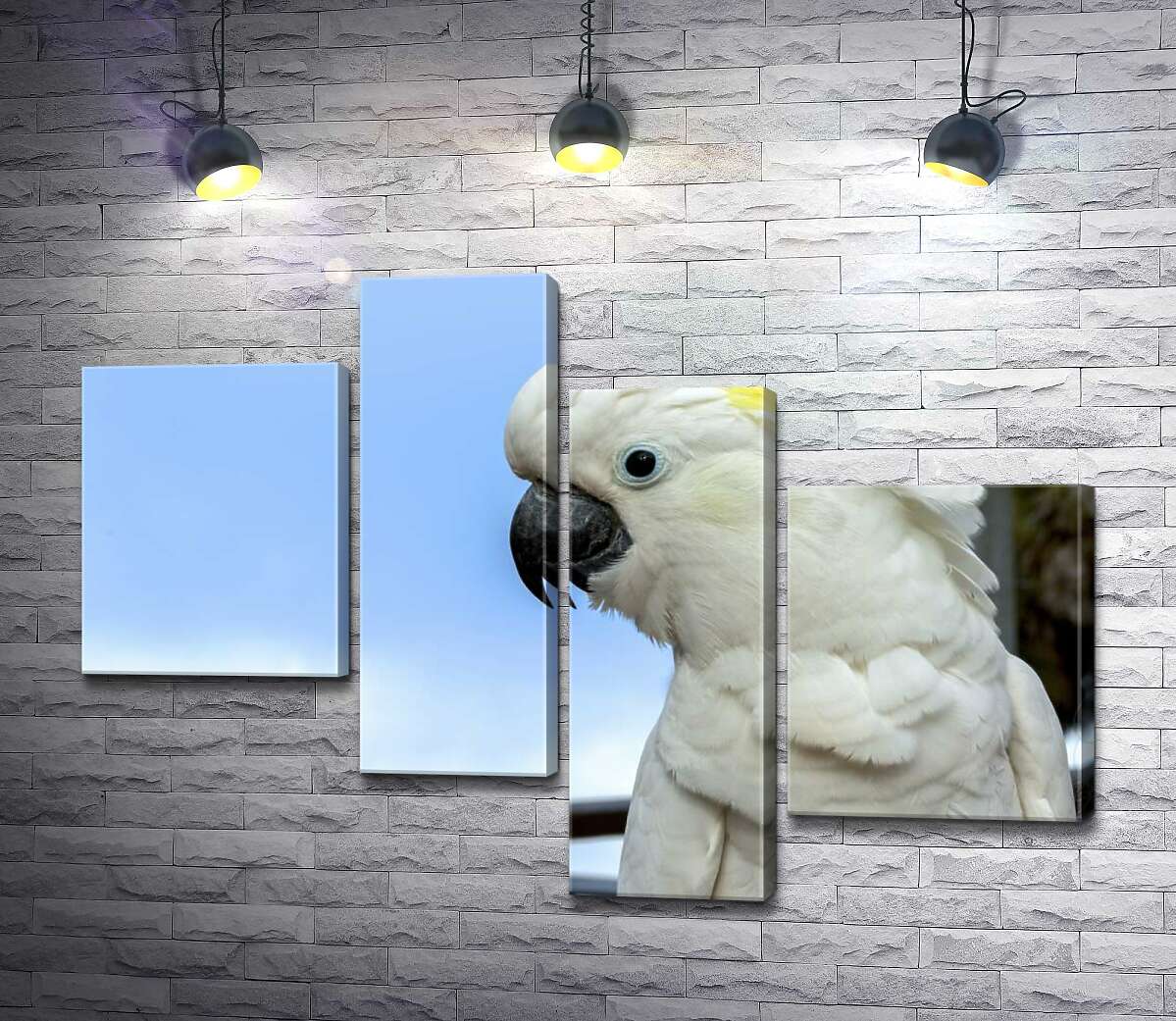 Модульная картина ArtPoster Белый попугай какаду с желтой челкой 130x93 см Модуль №20
Модульная картина ArtPoster Белый попугай какаду с желтой челкой 130x93 см Модуль №20