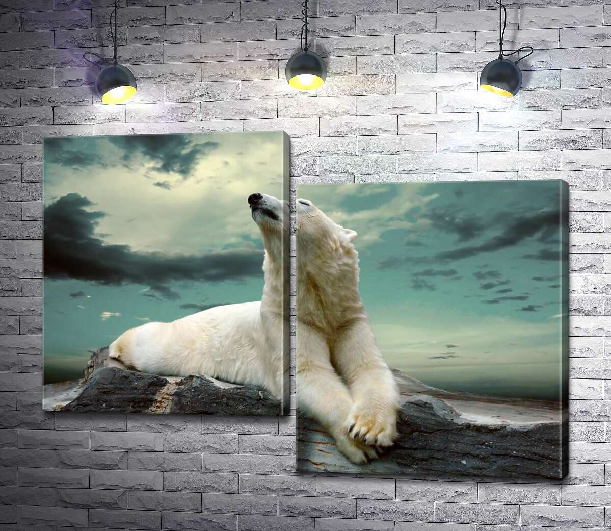 Модульная картина ArtPoster Белый медведь отдыхает на камне 100x72 см Модуль №5
Модульная картина ArtPoster Белый медведь отдыхает на камне 100x72 см Модуль №5