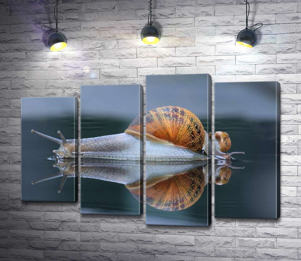 Модульная картина ArtPoster Водянисто-прозрачные улитки после дождя 132x89 см Модуль №21
Модульная картина ArtPoster Водянисто-прозрачные улитки после дождя 132x89 см Модуль №21