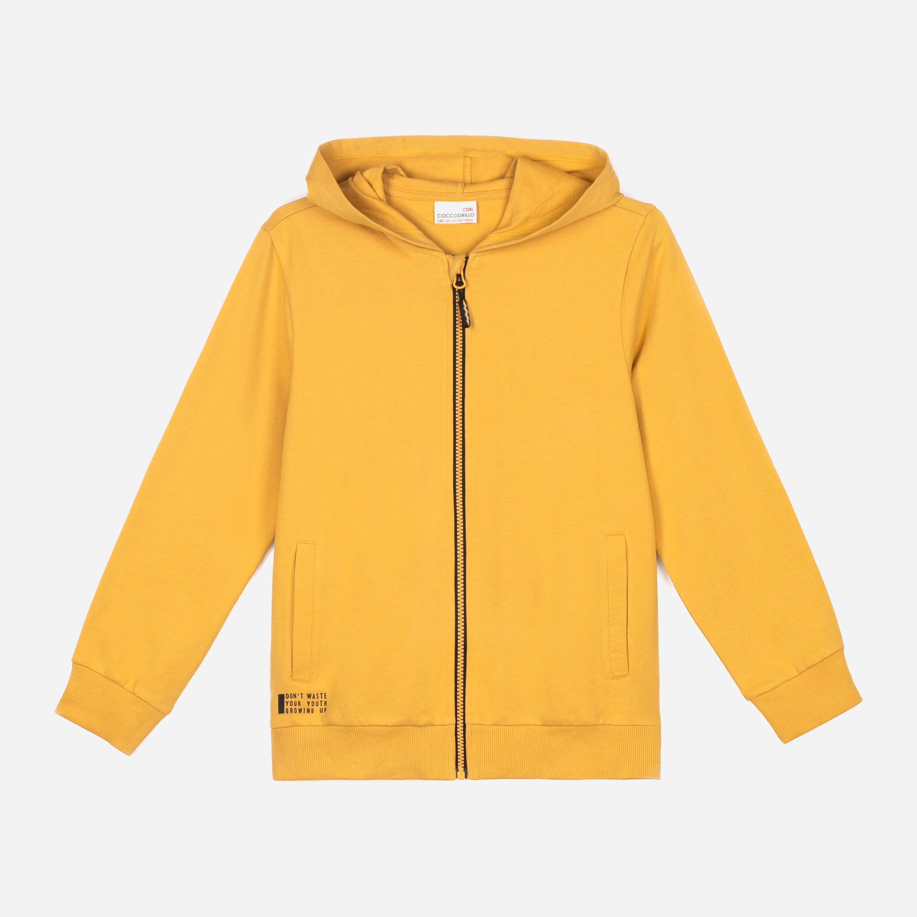 Толстовка Coccodrillo Everyday Boy WC2132401EVB-026 122 см Желтая (5904705708313)
Толстовка Coccodrillo Everyday Boy WC2132401EVB-026 122 см Желтая (5904705708313)