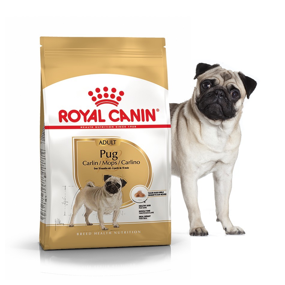 Сухой полнорационный корм Royal Canin Pug Adult - сухой корм для мопсов от 10 мес. 1.5 кг (3985005)
Сухой полнорационный корм Royal Canin Pug Adult - сухой корм для мопсов от 10 мес. 1.5 кг (3985005)