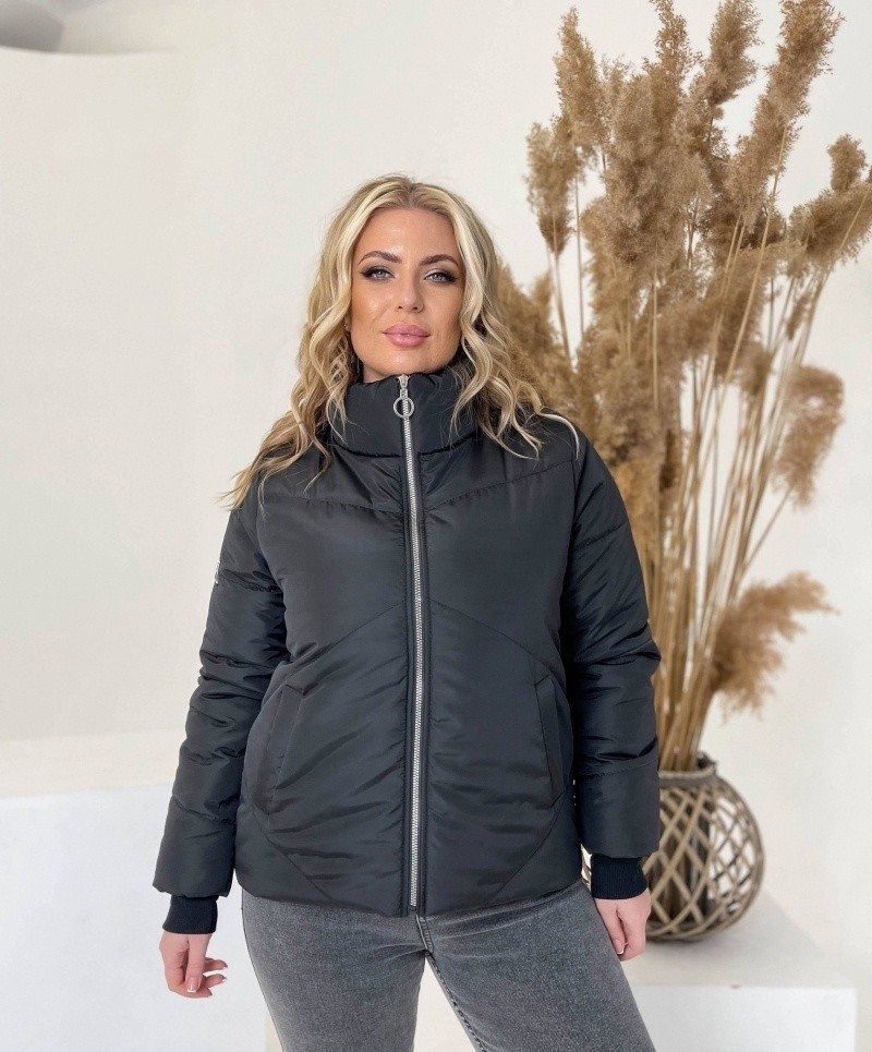 Женская Куртка демисезон Fashion Батал Черная р. 015450, Женская Куртка демисезон Fashion Батал Черная р.48-50 015450
Женская Куртка демисезон Fashion Батал Черная р. 015450, Женская Куртка демисезон Fashion Батал Черная р.48-50 015450