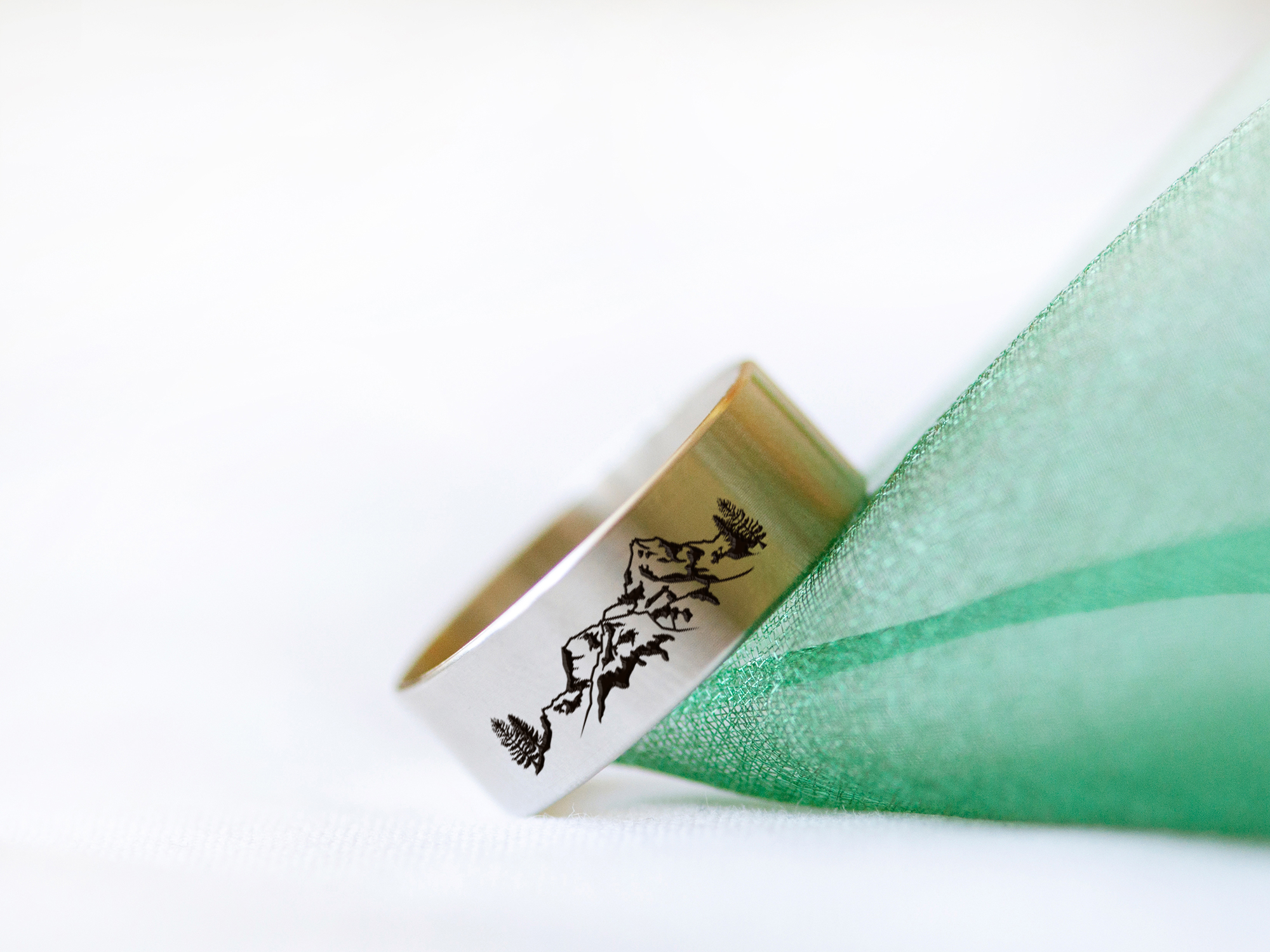 Кольцо стальное с горами надписью The mountains are calling кожаный чехол DIDIART JEWELRY размер 22 R0058
Кольцо стальное с горами надписью The mountains are calling кожаный чехол DIDIART JEWELRY размер 22 R0058