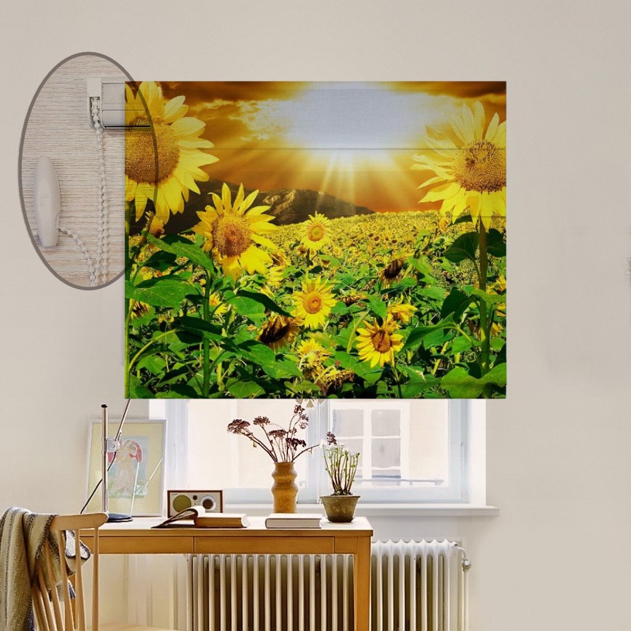 Римская штора система Lux Coullise InHt Фотопечать Цветы 00-140 Блэкаут 140х170 см
Римская штора система Lux Coullise InHt Фотопечать Цветы 00-140 Блэкаут 140х170 см