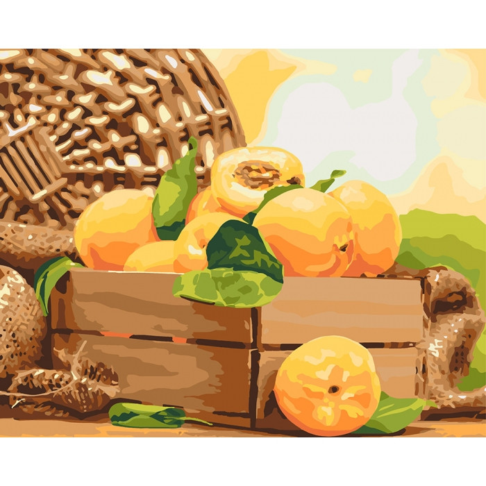 Картина по номерам Золотистый абрикос Идейка 40*50 КНО5565
Картина по номерам Золотистый абрикос Идейка 40*50 КНО5565