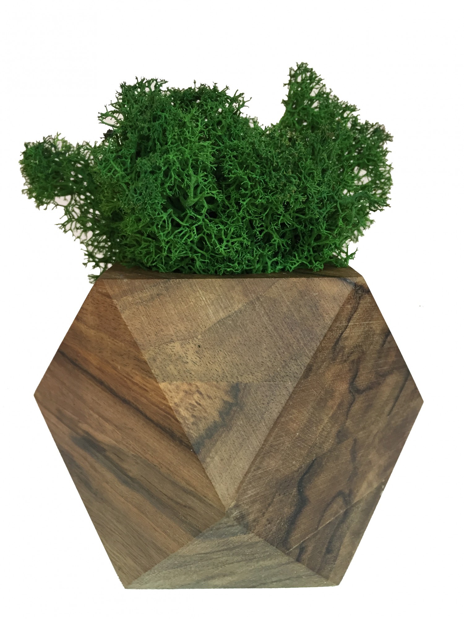 Стабилизированный мох вазон Reindeer Moss b/093/01/700/9 темно-зеленый коричневый
Стабилизированный мох вазон Reindeer Moss b/093/01/700/9 темно-зеленый коричневый