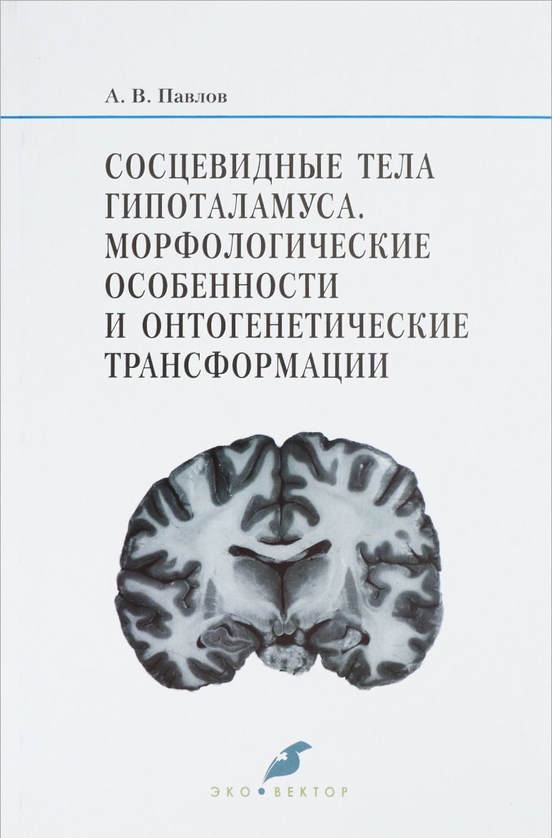 Сосцевидные тела гипоталамуса. Морфологические особенности и онтогенетические трансформации
Сосцевидные тела гипоталамуса. Морфологические особенности и онтогенетические трансформации