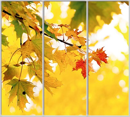 Шкаф купе Luxe Studio Стандарт-1 Фотопечать Природа-201 2100x2400x600 трехдверный
Шкаф купе Luxe Studio Стандарт-1 Фотопечать Природа-201 2100x2400x600 трехдверный