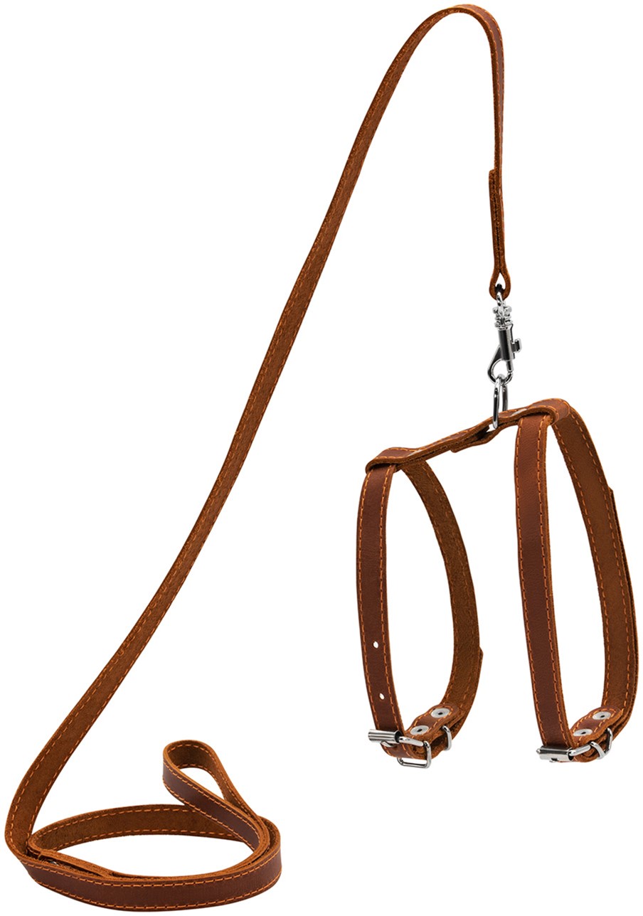 Шлея "CoLLaR" кошачья с поводком кожаная (ширина 12мм, А:22-30см,В:30-40см, длина 122см), Коричневый
Шлея "CoLLaR" кошачья с поводком кожаная (ширина 12мм, А:22-30см,В:30-40см, длина 122см), Коричневый