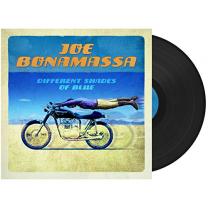 Виниловая пластинка Joe Bonamassa - Different Shades Of Blue 2014 (0819873011187) Mascot/EU Mint (art.236137)
Виниловая пластинка Joe Bonamassa - Different Shades Of Blue 2014 (0819873011187) Mascot/EU Mint (art.236137)