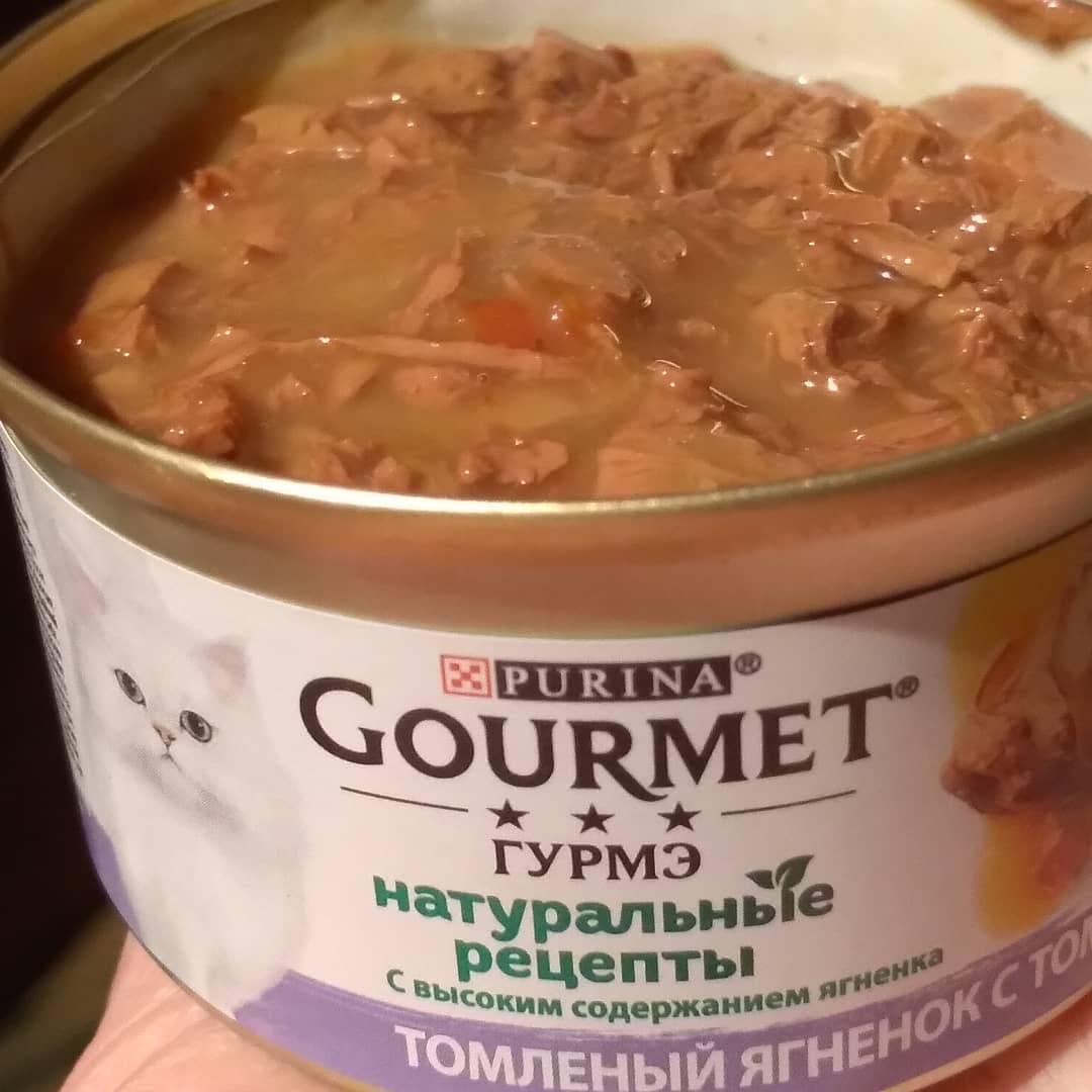 Упаковка влажного корма для кошек Purina Gourmet Натуральные рецепты с  ягненком и томатами 12 шт по 85 г (7613038041827) – в интернет-магазине  ROZETKA | Купить в Украине: Киеве, Харькове, Днепре, Одессе, Запорожье,  Львове