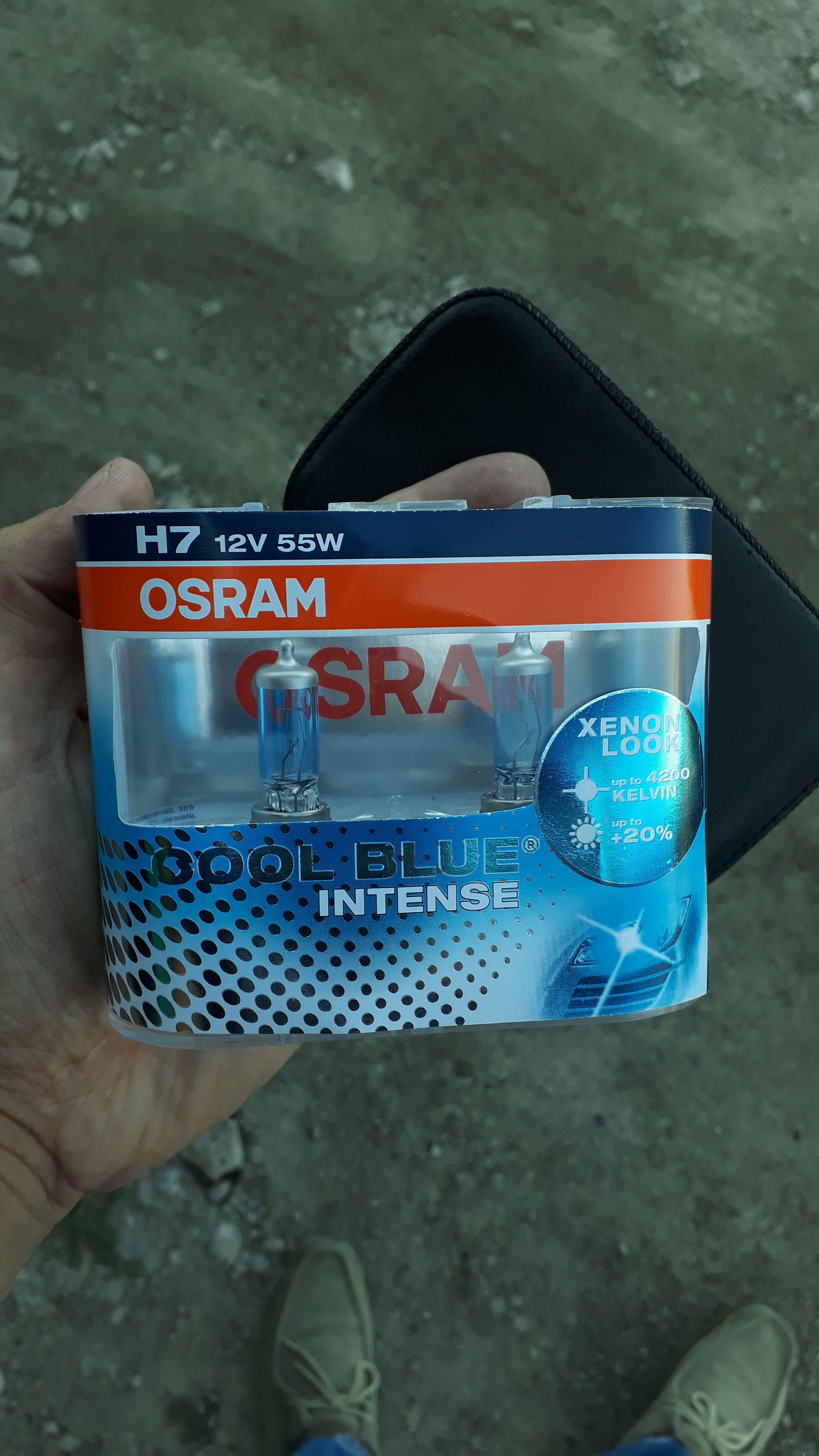Автолампы Osram Original Cool Blue Intensive +20% 12V 55W (64210CBI-HCB) –  отзывы покупателей