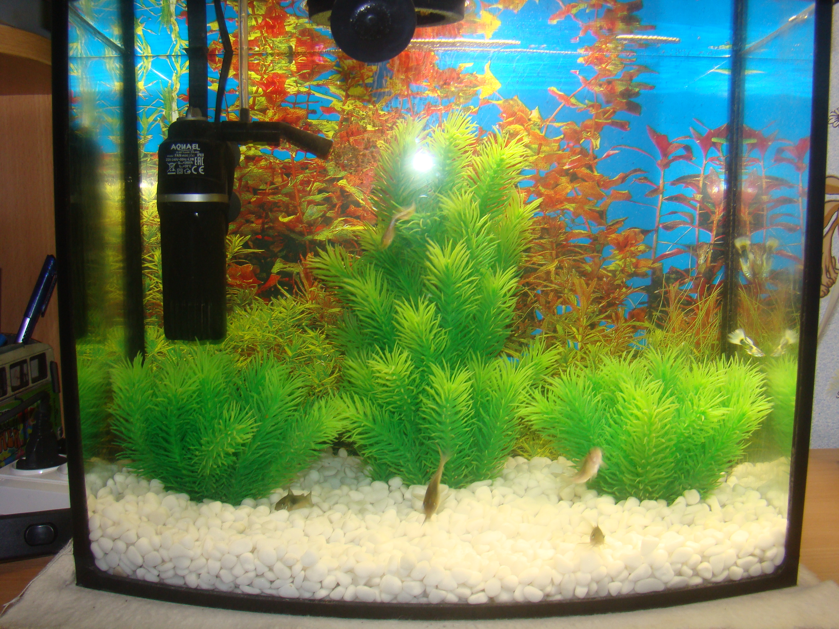 Tetra AquaArt 2 - новые аквариумы от известного производителя