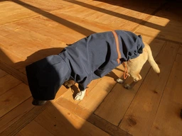 Куртка-дощовик для собак Noble Pet Moss Yellow XL (M4108/XL)