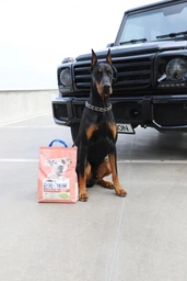 Сухий корм з куркою Purina Dog Chow Пуріна Дог Чао для активних собак 2,5 кг (7613034487858) фото від покупців 7