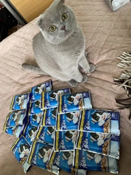 Влажный корм Felix для кошек (с курицей в желе) ТМ "Purina One" 85 г (90840)