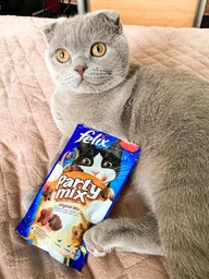 Упаковка лакомств для котов Purina Felix Party Mix Ориджинал Микс со вкусом курицы, печени и индейки 8 шт по 60 г (7613287631466) фото от покупателей 3
