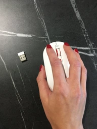 Мышь Xiaomi Miiiw Mouse Mute MWMM01 Wireless White (MWMM01 White) фото от покупателей 11