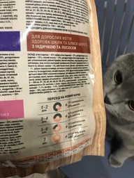Сухой корм HOME FOOD здоровая кожа и блеск шерсти для взрослых кошек "Индейка и лосось" Healthy Skin And Shiny Coat 1.6 кг фото от покупателей 5