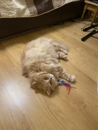 Игрушка для котов OutwardHound Petstages Feather Fish Bone Cat Toy фото от покупателей 2