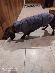 Пуховик Noble Pet Bobby Navy M (B4118/M) фото от покупателей 1