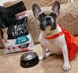 Сухий корм для собак малих порід Purina Pro Plan Пуріна Проплан з лососем 3 кг (7613035114890) фото от покупателей 3
