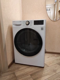 Сушильная машина LG DC90V9V9W фото от покупателей 1
