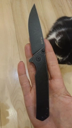 Нож складной Ruike P801-SF (длина: 200мм, лезвие: 86мм), серый фото от покупателей 16