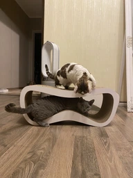Когтеточка картонная Say Meow Grace, 67 см х 27 см х 24 см фото от покупателей 1