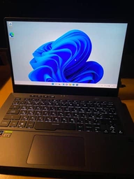 Ноутбук ASUS ROG Zephyrus G14 GA401QM-K2336 (90NR05S3-M08640) Eclipse Gray + фирменный чехол