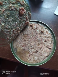 Влажный корм для собак с говядиной и говяжьим сердцем Nature's Protection with Beef & Beef Hearts, 800г