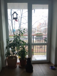 Кормушка для птиц на окно House_for_birds "Балкон" дерево фото от покупателей 12