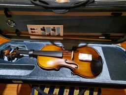 Скрипка Stentor 1542/A Graduate Violin Outfit 4/4 фото от покупателей 2