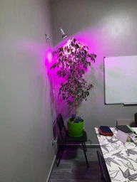 Світлодіодна Фитолампа для рослин GreenHouse GR-78 Pro і світильник прищіпка
