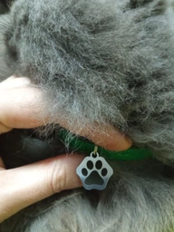 Адресник для Котов BronzeDog из Нержавеющей Стали Лапка Серебристый 20*20 мм (90371) фото от покупателей 9