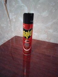 Аэрозоль Raid Max против тараканов и муравьев 3в1 300 мл (5000204545609)