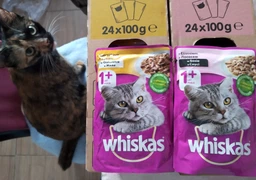 Вологий корм для котів Whiskas з лососем у соусі, 85 г, 28 шт фото от покупателей 1