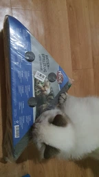 Іграшка для котів Trixie «Сір» 36 x 8 x 26 / 26 см фото від покупців 11