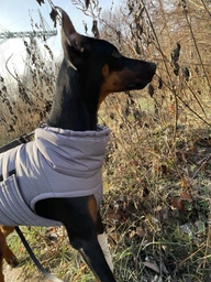 Пуховик Noble Pet Bobby Navy B4118/4XL (00001717)