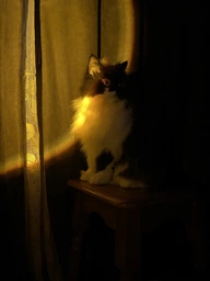 Лампа закат солнца sunset lamp закатная проекционная лампа рассвет ночник видео свет для тик ток с пультом фото от покупателей 2