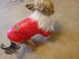 Куртка для собак с меховым воротником Dog Baby Style M Red фото от покупателей 1