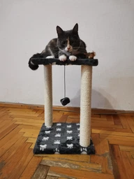 Царапка Lucky Pet домик сезалевый "Симба 2" 33 х 33 х 44 см Черная (4820224215877) фото от покупателей 5