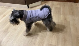 Пуховик Noble Pet Bobby Navy B4118/XL (00001687)